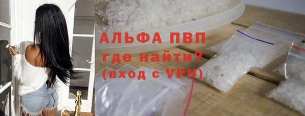 стаф Кулебаки