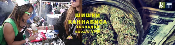 стаф Кулебаки